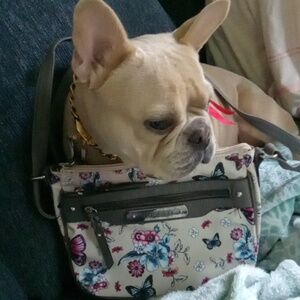 Rosetti Crossbody Bag